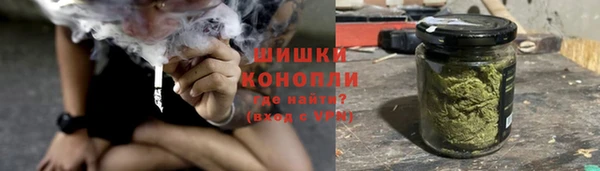 дживик Арсеньев