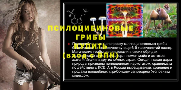 ALPHA PVP Снежногорск
