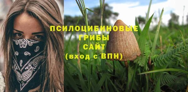 MDMA Premium VHQ Аркадак
