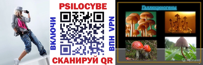 Псилоцибиновые грибы Magic Shrooms  продажа наркотиков  Минусинск 